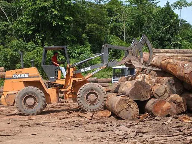 País terá Companhia de Operações Ambientais para conter desmatamento na Amazônia