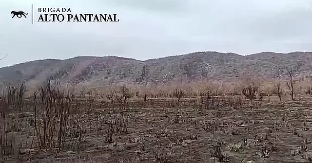 Área de plantio na Serra do Amolar se torna cinza após incêndios