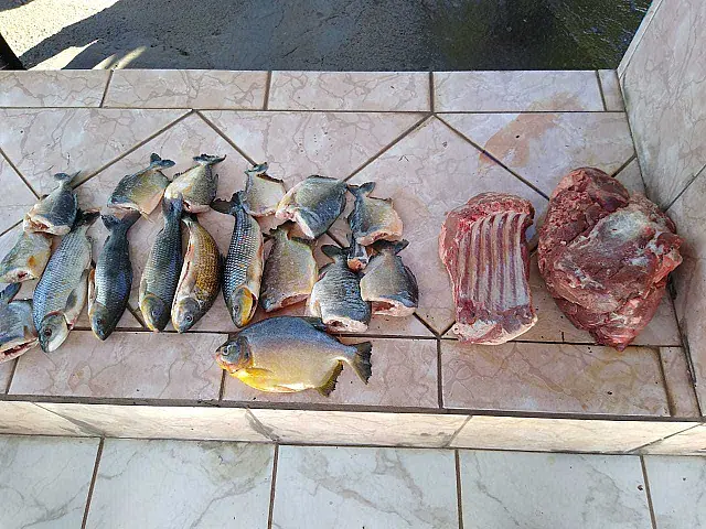 Mineiro é flagrado carregando carne de porco silvestre e pescado ilegal em ônibus