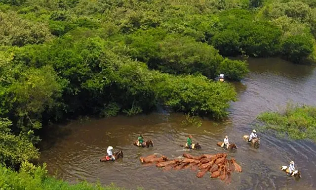Após cheia histórica, governo investe em estradas e pontes do Pantanal