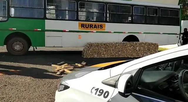 Ônibus que saiu do MS carregado com maconha é apreendido em SP