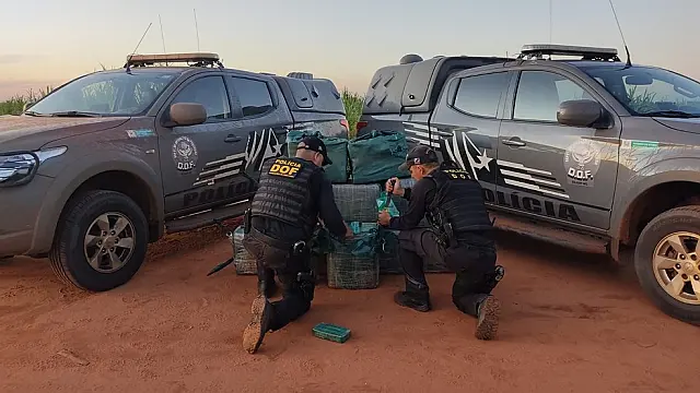 Em pista de aviões, policiais encontram 525kg de pasta base de cocaína