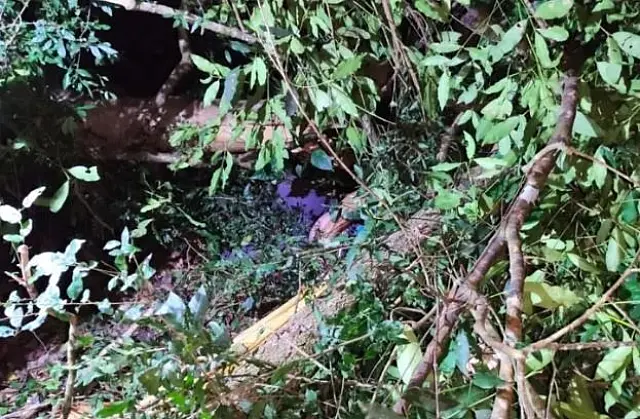 Homem é encontrado morto no meio do mato perto de parque em MS