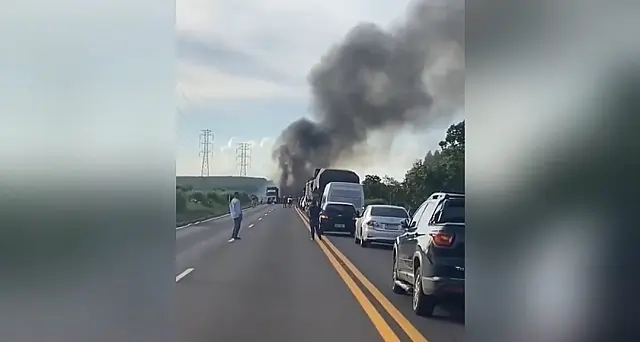 Carreta carregada com eucalipto pega fogo na BR-262