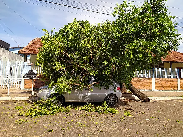 Árvore cai e atinge carro no bairro Guanandy
