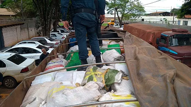 DOF apreende quase nove toneladas de maconha, maior apreensão do ano