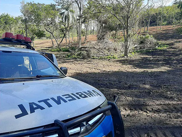 Polícia flagra desmatamento em Nioaque a aplica multa de R$ 269 mil a arrendatário