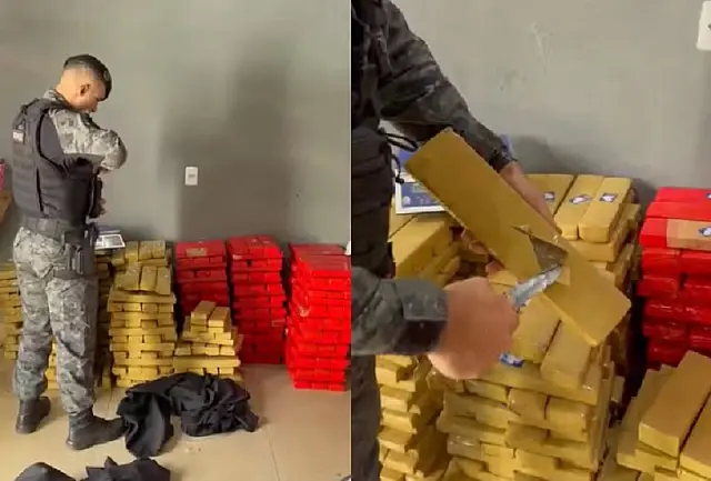 Mulher acaba presa após apreensão de 486 quilos de maconha em residência