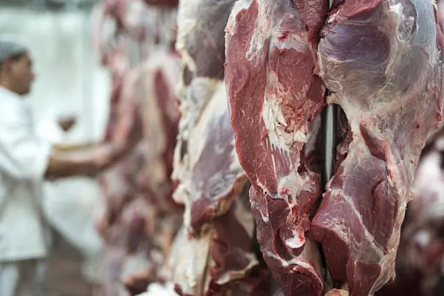 Exportações de MS crescem 0,9% em janeiro e superávit atinge US$ 529 milhões