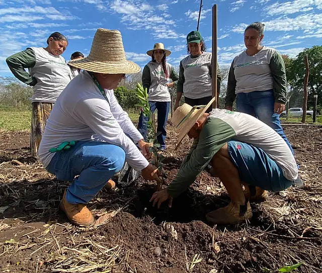 Senar/MS leva capacitação em culinária e cultivo de cítricos a Miranda