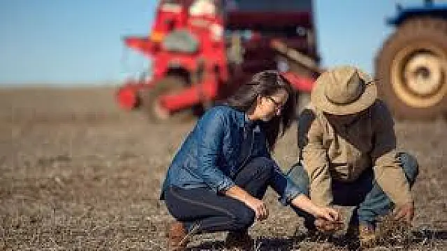 Sicredi está entre as instituições que mais liberaram recursos ao agro, segundo BNDES e FEBRABAN