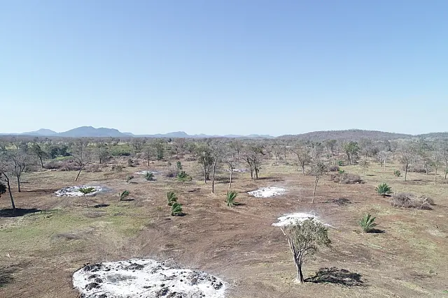 Paulista é multado em R$ 15 mil por incêndio em vegetação no Pantanal