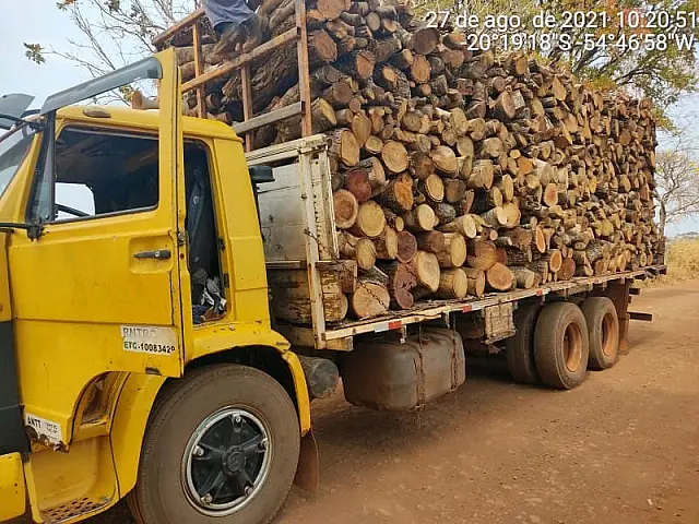 PMA apreende caminhão com 30m³ de madeira ilegal