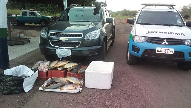 Quatro turistas são presos por pesca predatória no Rio Aquidauana