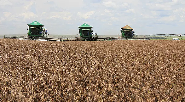 Agronegócio de MS fecha 2023 com faturamento acima de R$ 70 bilhões