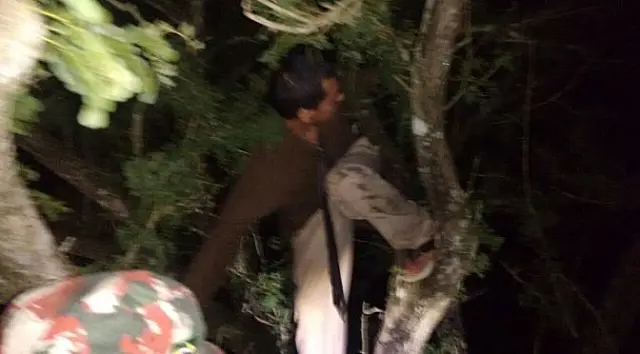 Homem desaparecido é socorrido pela PMA em árvore