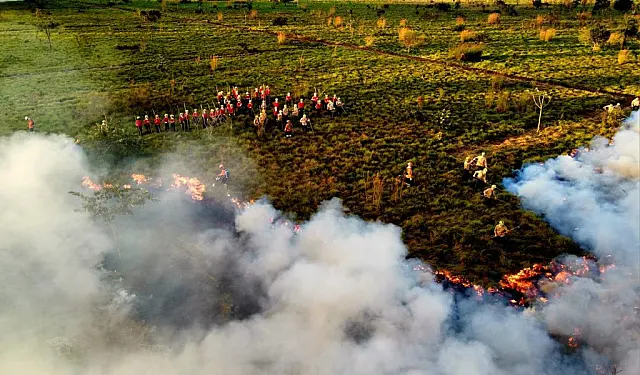 Treinamento qualifica Bombeiros para atuar em combate de florestais