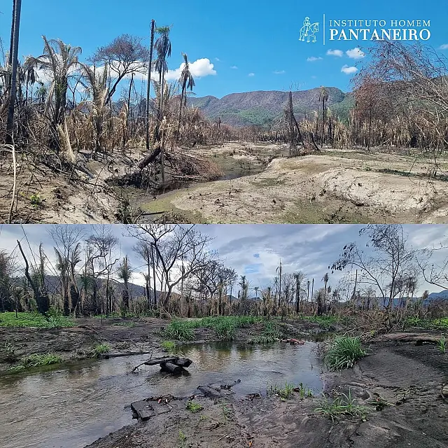 Registro reforça sazonalidade do Pantanal entre seca e chuvas