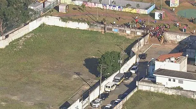 Criança de 10 anos morre após ataque de seis pit-bulls ao buscar pipa
