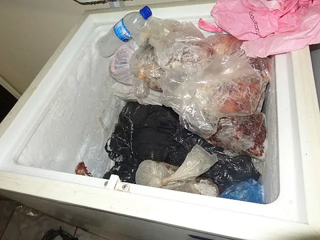Mulher esquarteja e congela pedaços do ex-marido em Nioaque