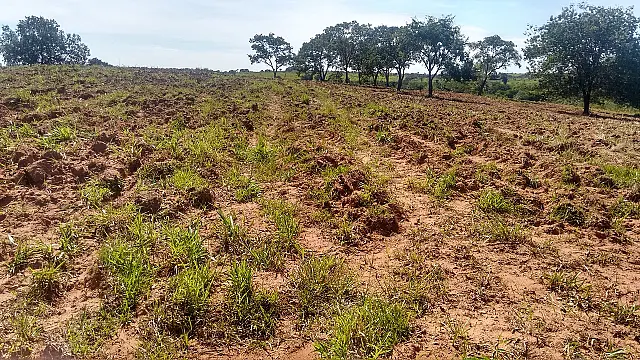 Com ajuda de satélite, PMA multa pecuarista em R$ 108 mil por desmatar 108 hectares