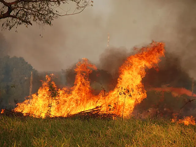 Jornal: Bombeiros combatem incêndio no Parque Ecológico da Lagoa Comprida