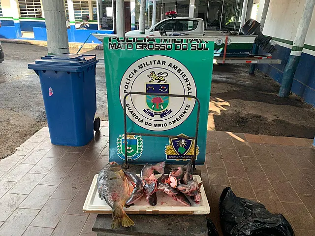 Pescador é autuado pela PMA por transporte irregular de pescado