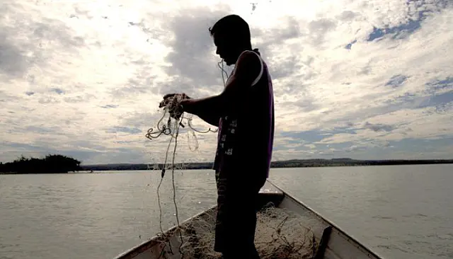 Ministério suspende 35 mil licenças de pescadores profissionais por fraude