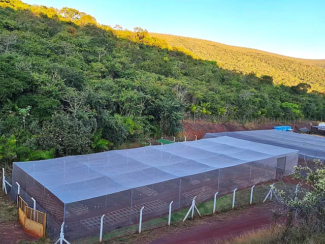 Mais de 100 mil m² de áreas nativas são recuperadas em Corumbá