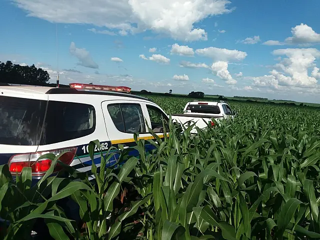 Após fuga, PM apreende caminhonete com 1,2 tonelada de maconha