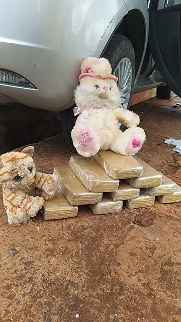 "Camuflados" por pelúcias, tabletes de droga são apreendidos
