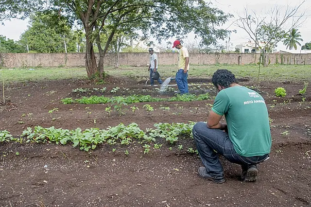 Projeto quer ocupar vazios urbanos com hortas comunitárias e áreas de lazer