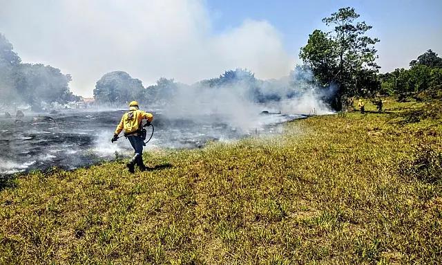 Crise do clima ameaça direitos humanos, diz Anistia Internacional