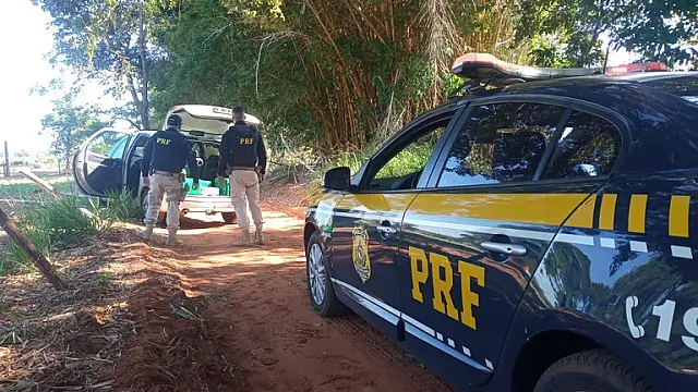PRF apreende carregamento de entorpecente na BR-163