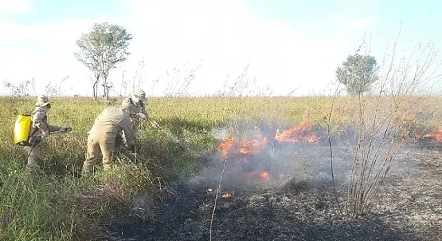 Corumbá já registrou quase 450 focos de incêndios em 2022