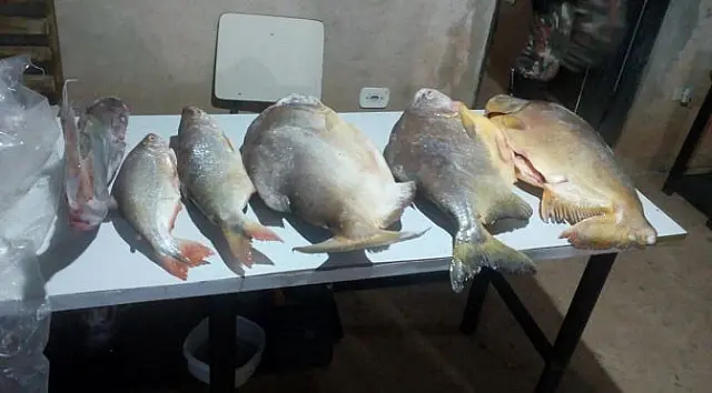PMA prende e multa aquidauanenses em R$ 2 mil por pesca ilegal