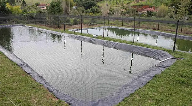 Projetos de piscicultura de até cinco hectares isentos de licença ambiental