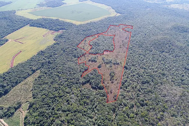 Fazendeiro é autuado em R$ 47 mil por desmatamento ilegal de vegetação nativa em Bonito