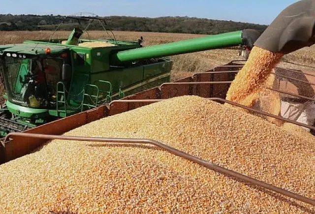 Agropecuária puxa exportações, mesmo com queda na produção de soja