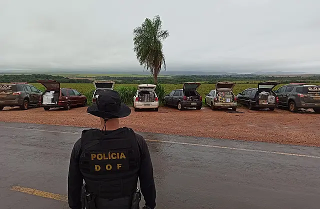 DOF apreende produtos ilegais avaliados em mais de 600 mil