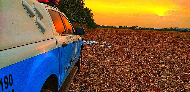 PM apreende 2,8 mil pacotes de cigarro e prende cinco pessoas em flagrante
