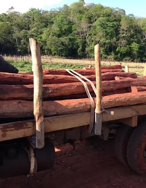 PMA apreende em Miranda caminhão com carga ilegal de madeira furtada de área indígena