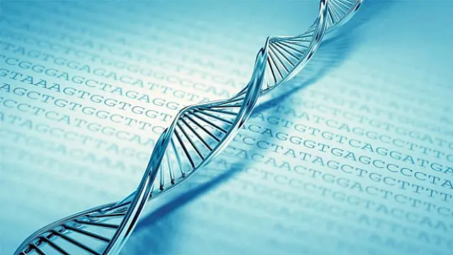Exame de paternidade pode ser feito em parentes próximos do suposto pai