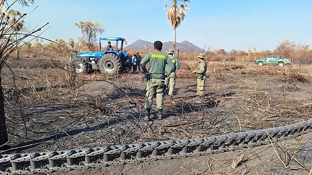 Justiça exige que criadores de gado desocupem áreas degradadas em Corumbá