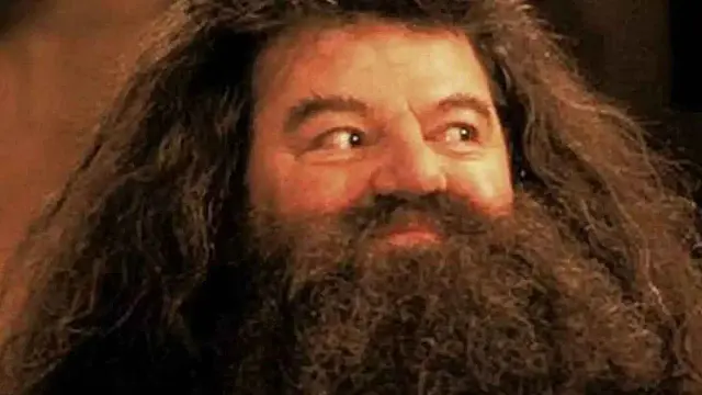 Robbie Coltreone, intérprete de Hagrid de 'Harry Potter', morre aos 72 anos