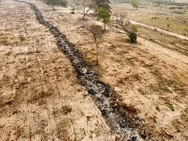 MPMS instaura inquéritos apurar incêndios que devastaram o Pantanal