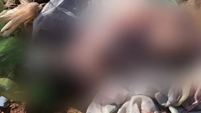 Corpo de recém-nascido é encontrado por cachorro em Corumbá