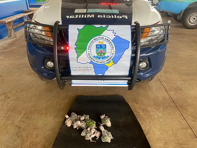Traficantes são presos em flagrante com 16 filhotes de papagaio-verdadeiro