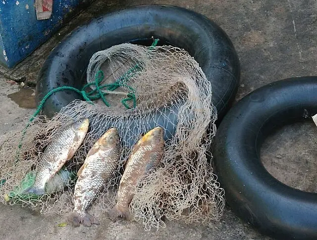 Aquidauanense de 36 anos é preso e multado por pesca predatória