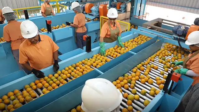 Exportação de produtos atingidos por tarifaço cai 22% em agosto
